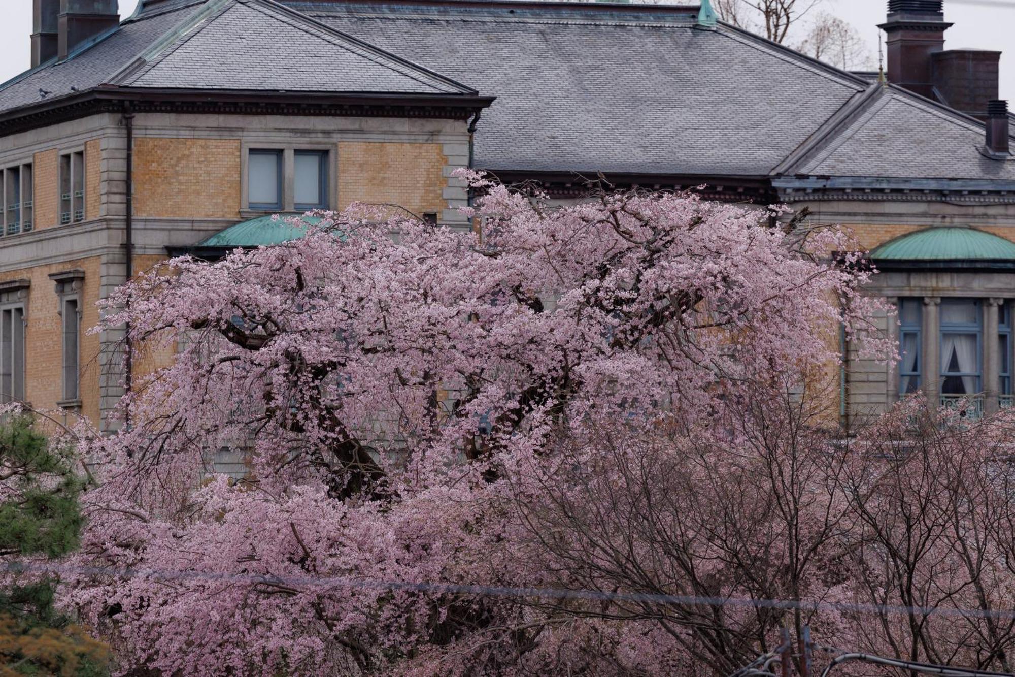 Hotel Chourakukan Kyoto Gion, Kyoto